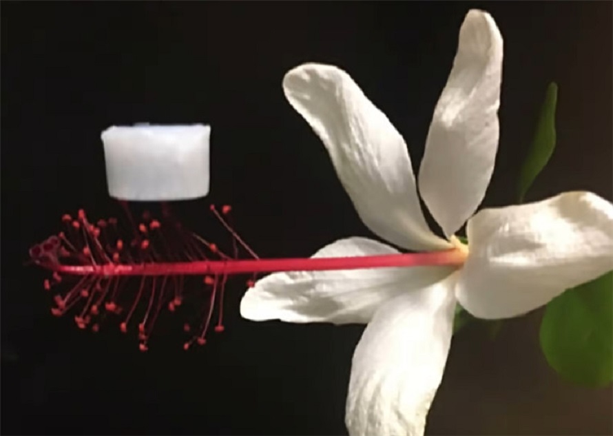氣凝膠為何是保溫隔熱效果極佳的固態(tài)材料